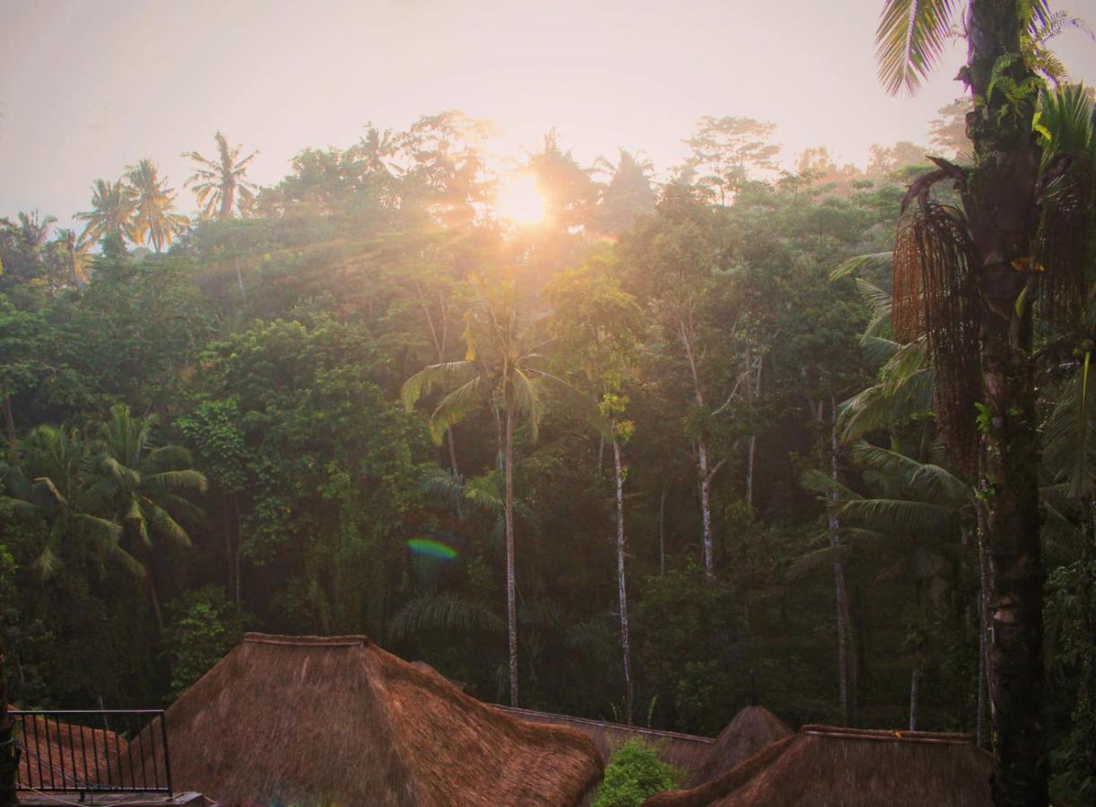 Sarasvati Lodge with Private Pool