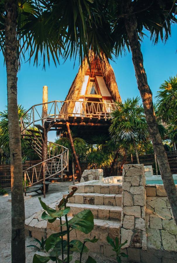 Casa sull'Albero