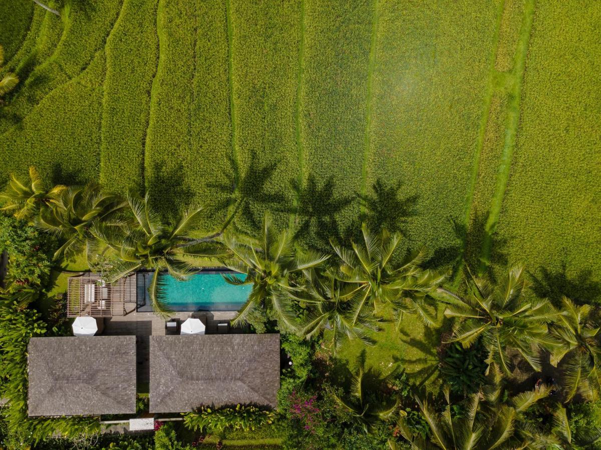 Villa 1 Chambre avec Piscine Privée et Activités Quotidiennes Programmées