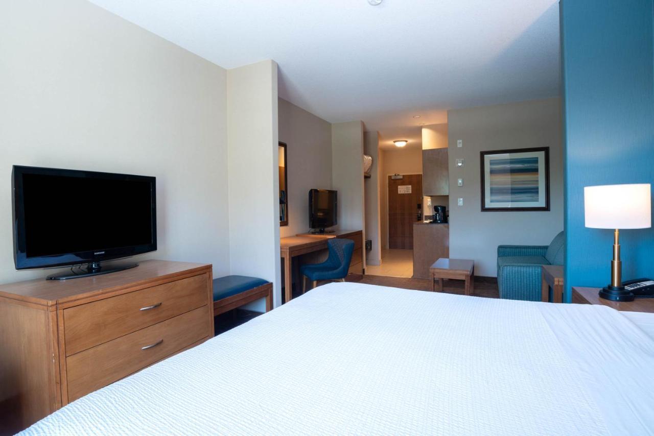 Standard Room, 1 King Bed, Sofa Bed