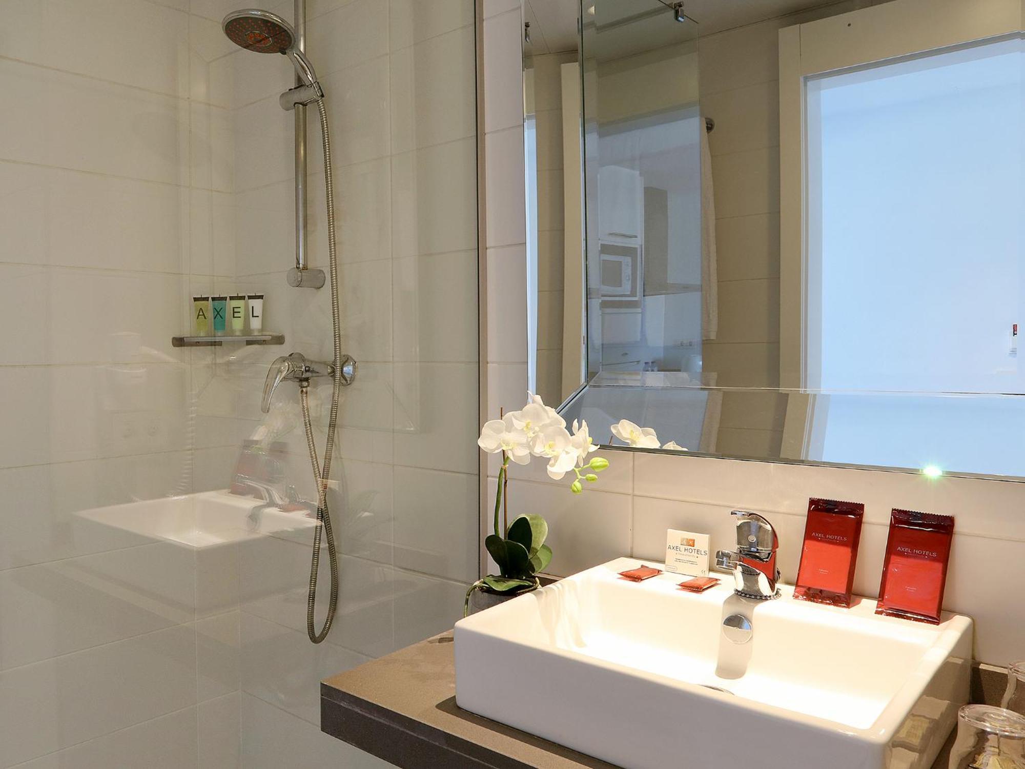 Appartement 1 Chambre