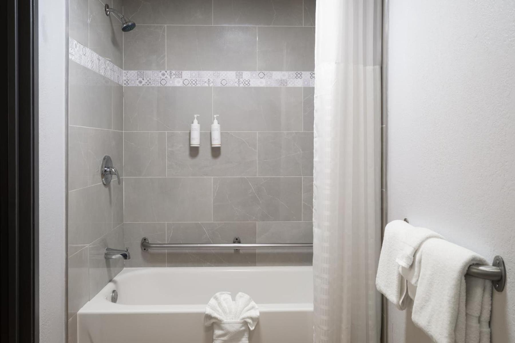 King Room Mobility Access Bathtub Grab Bars Non-Smoking,1603065264:JPEG