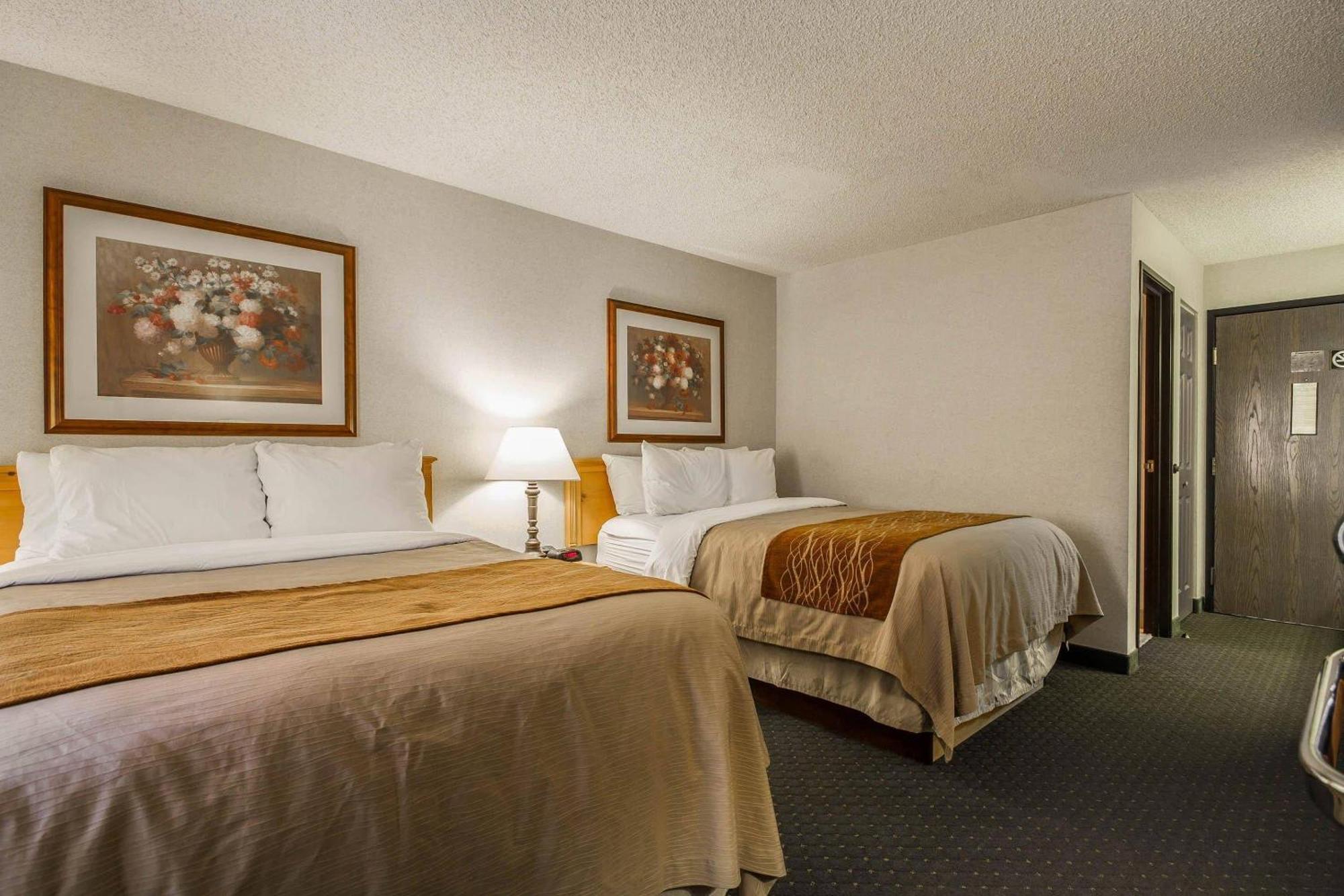 Double Room with Two Double Beds - Non-Smoking