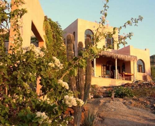 Villa with Sea View,21446166:JPEG