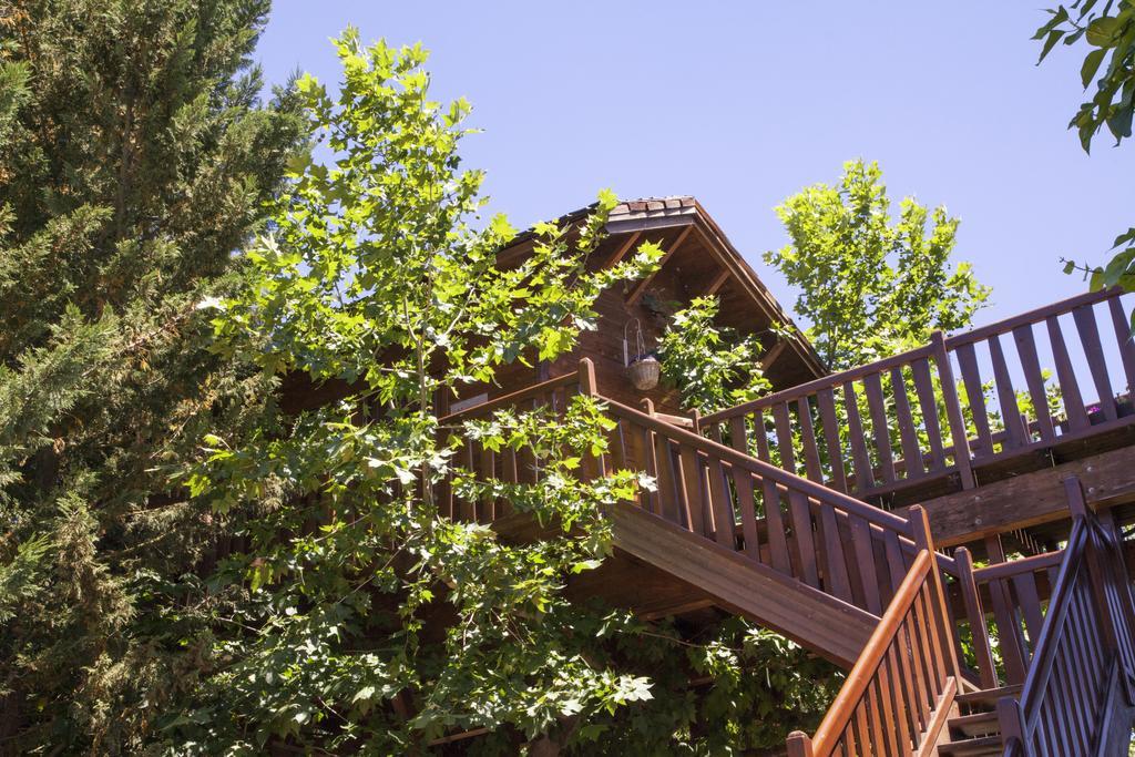 Double Room in a Tree,450646206:JPEG