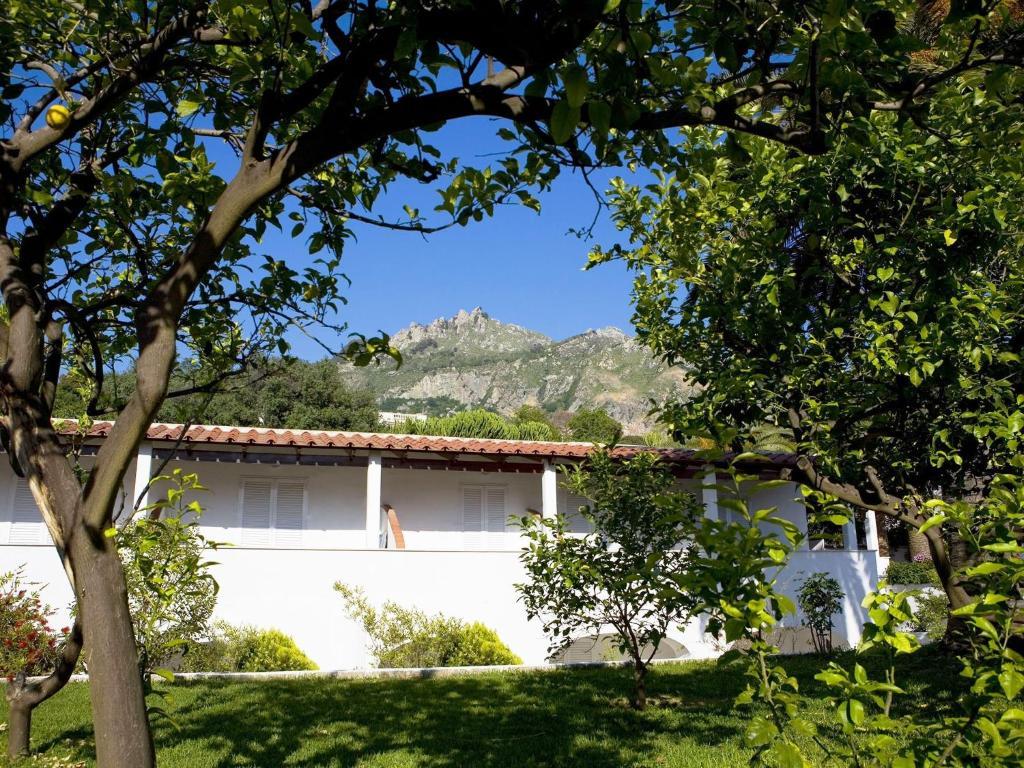 Double or Twin Room with Balcony,831149438:JPEG