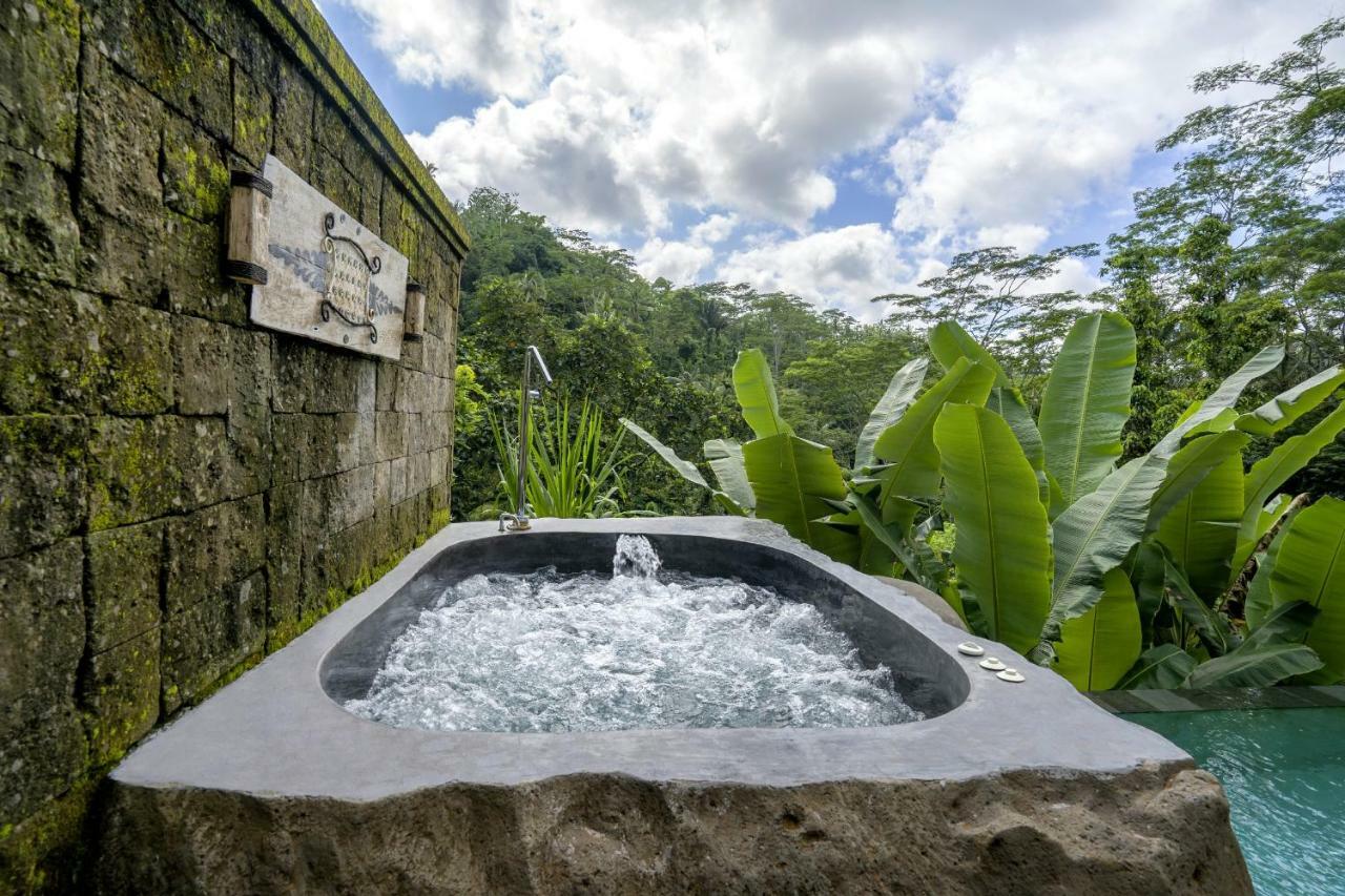Kayon Premier Pool Villa,786009750:JPEG
