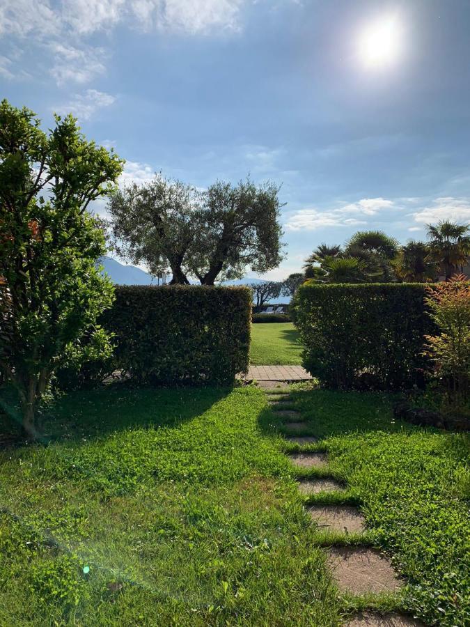 Apartment with Garden View,1659455023:JPEG