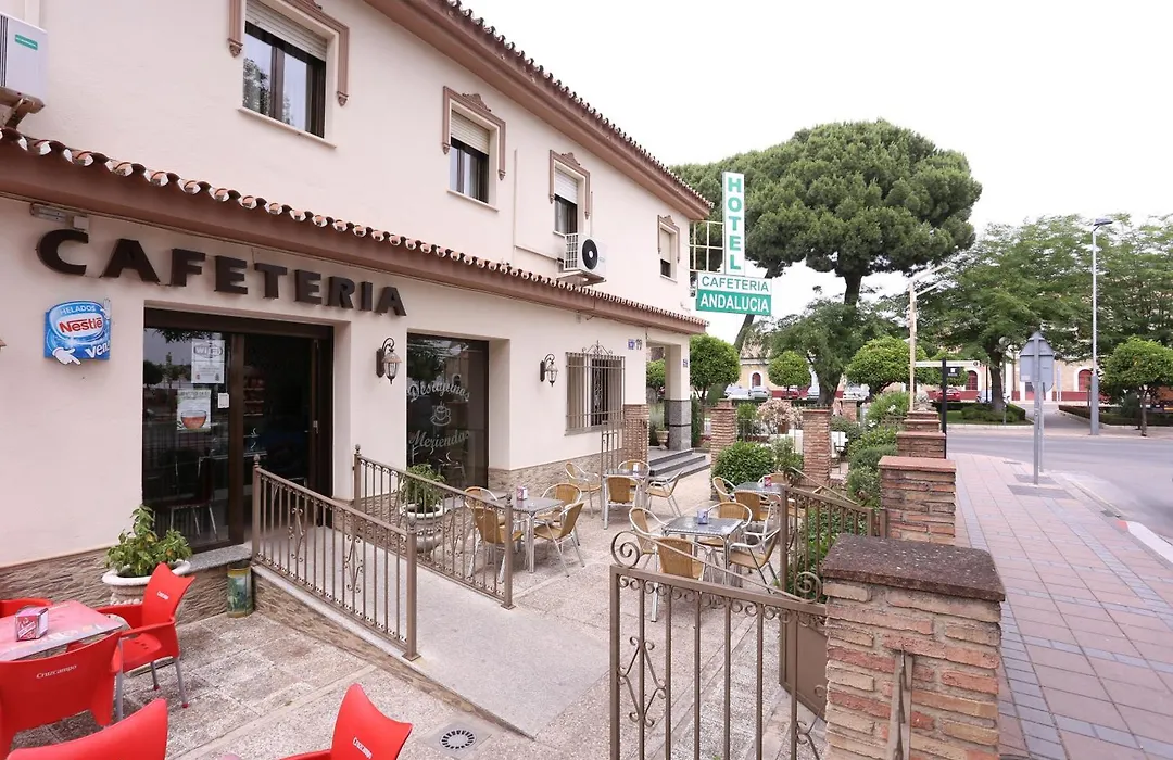 Hotel Andalucia-1