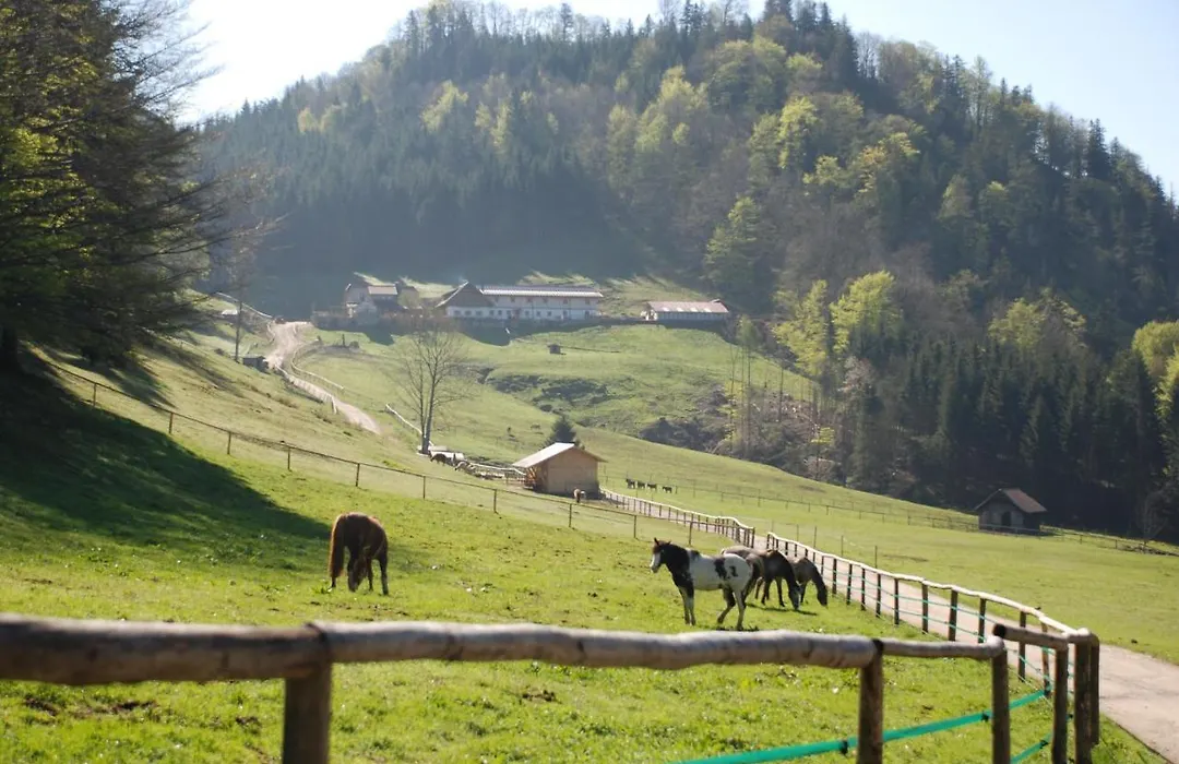 Ferienwohnung Hochsteinalm-1