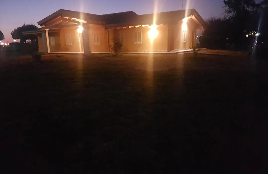 Mazzi House Garden-1