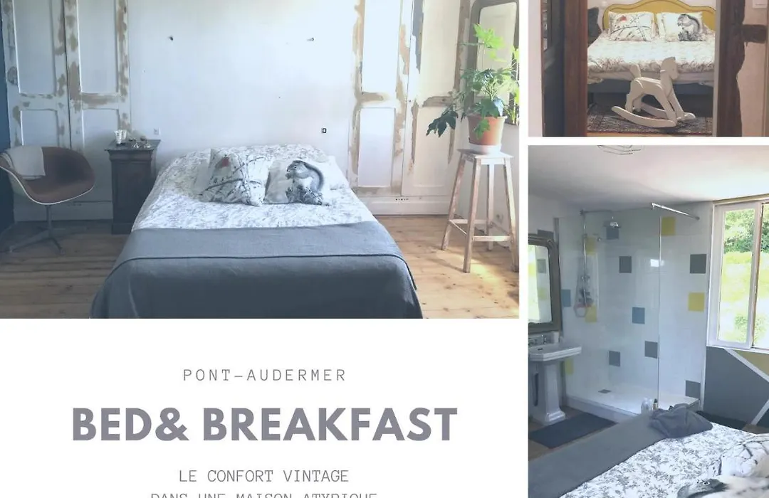 Charmante chambre d'hôte atypique chez l'habitant à Pont-Audemer-1
