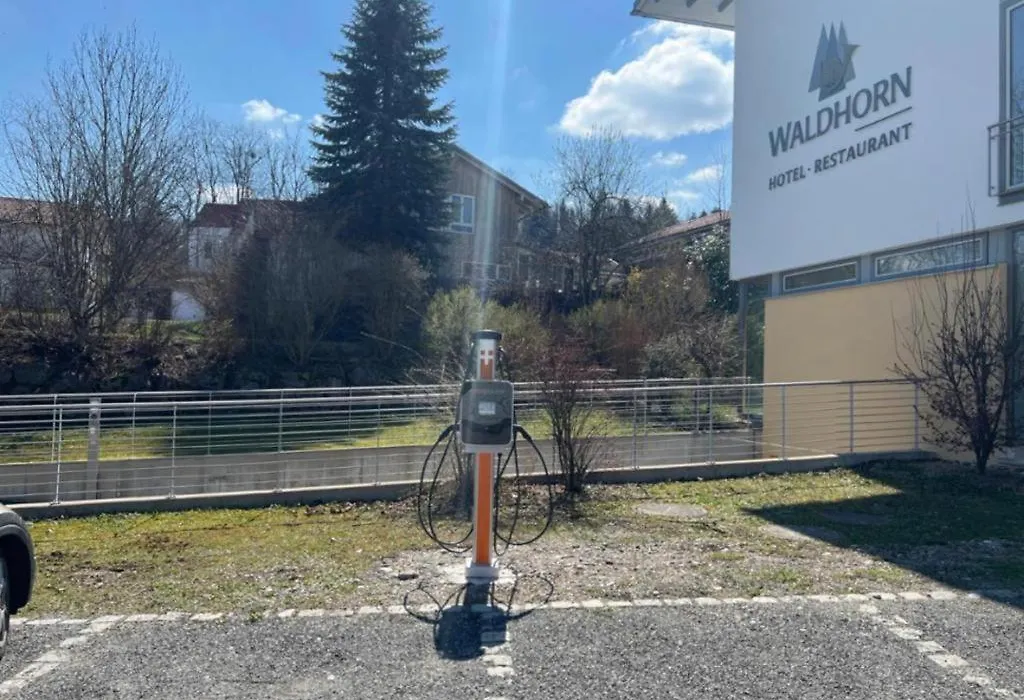 Hotel Waldhorn-1