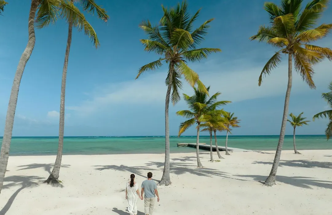 Hyatt Zilara Cap Cana - Adults Only-1