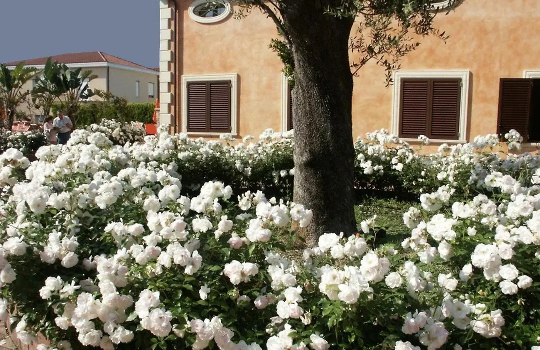 Residence Baia Infreschi-1