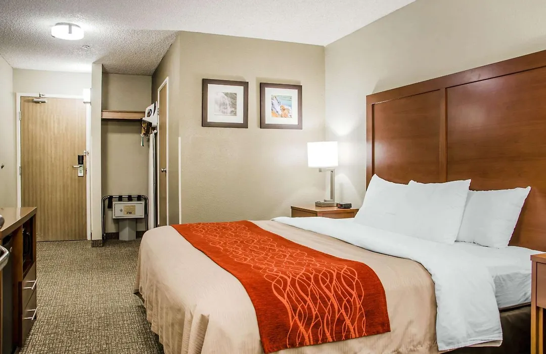 Comfort Inn-1