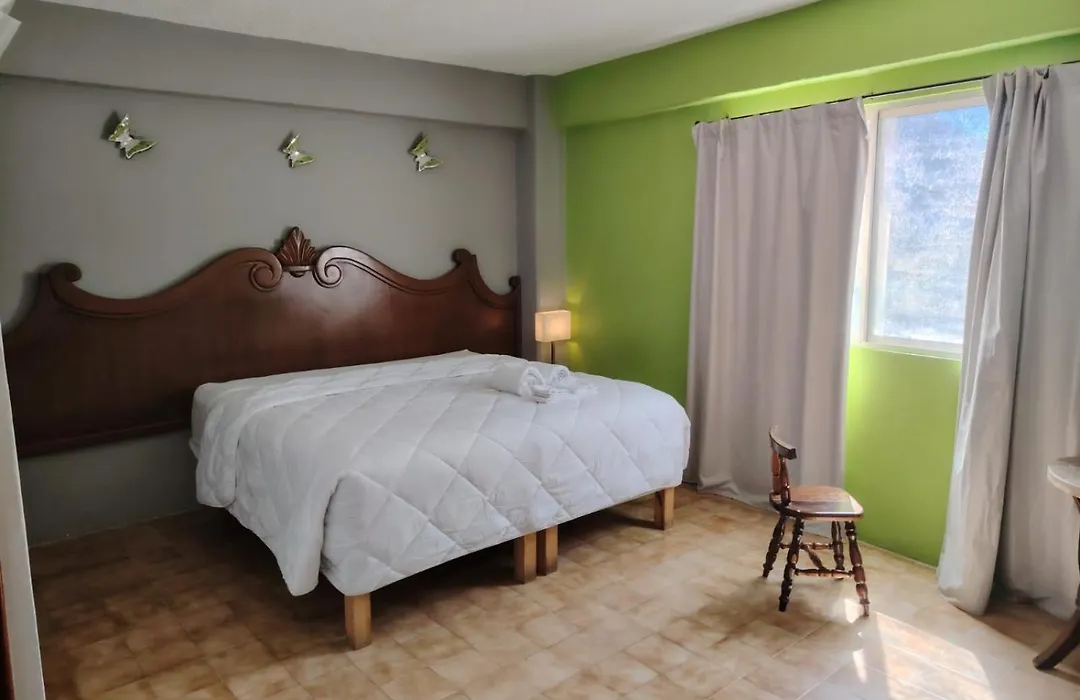 Cabo Tortuga Hotel Boutique-1