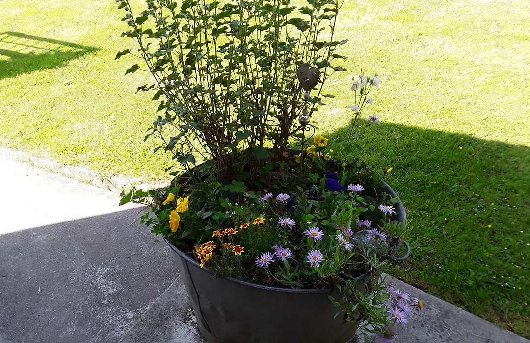 Un week-end à la campagne-1