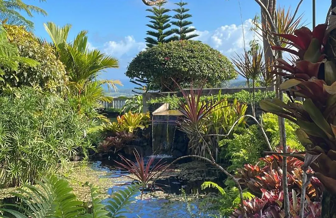 El Yunque Rainforest Inn-1