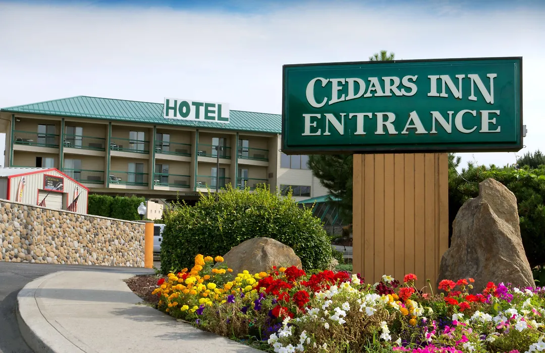 Cedars Inn-1