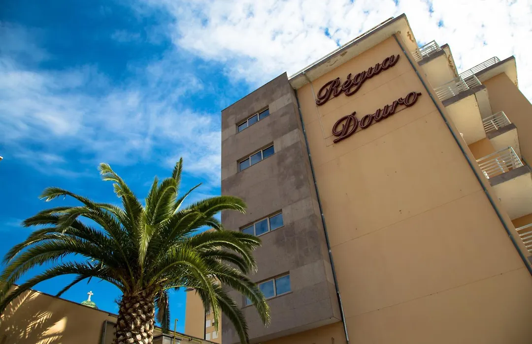 Hotel Regua Douro-1