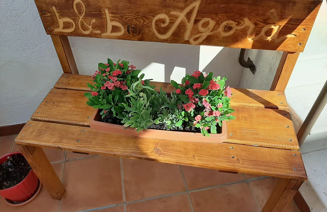 Agorà Bisceglie-1