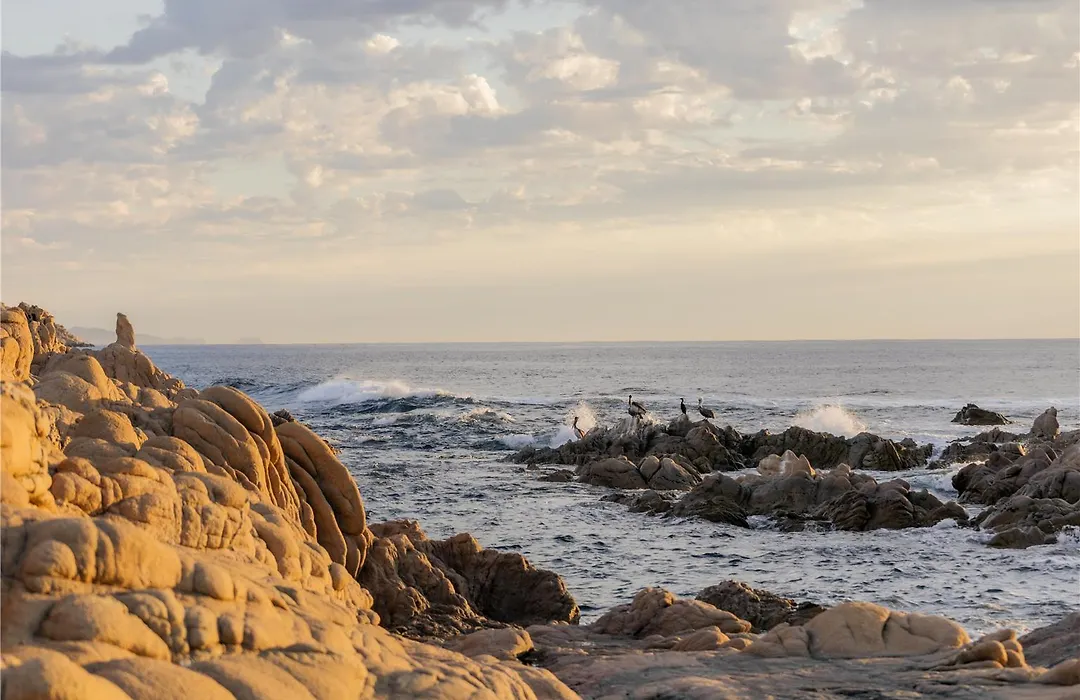 Park Hyatt Cabo Del Sol-1