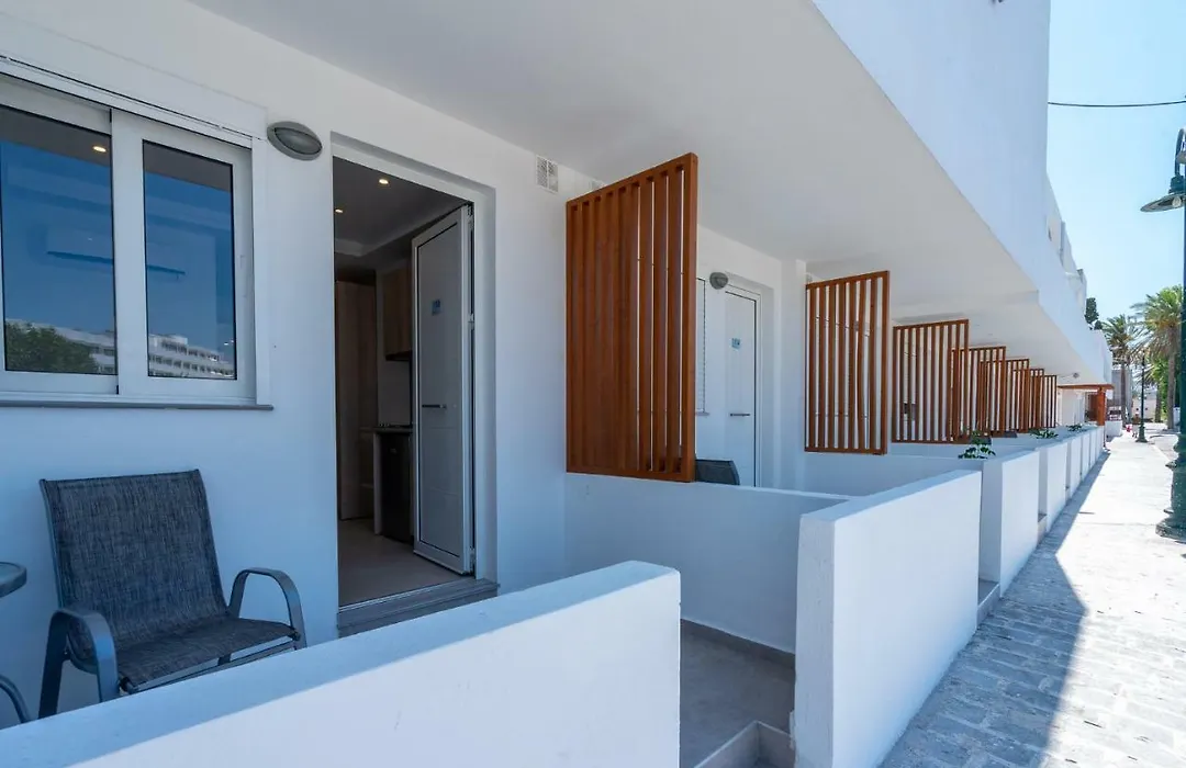 Bivalvia Beach Plus-1