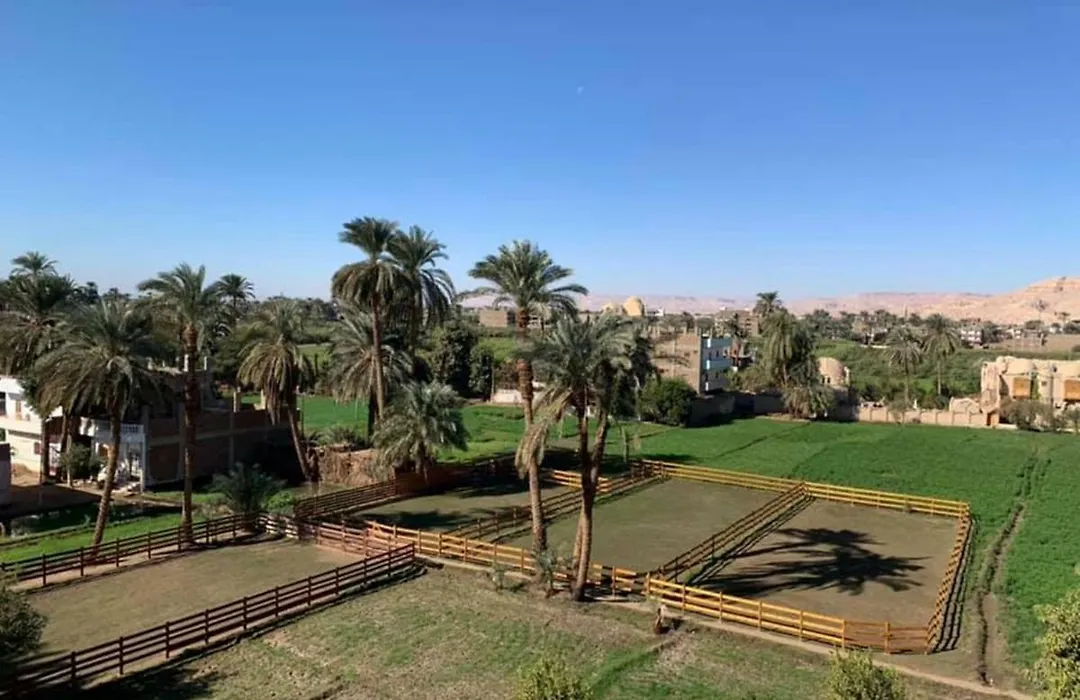 Cleopatra Hotel Luxor-1