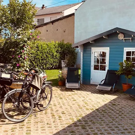 Moselstern-Hotel "Weinhaus Fuhrmann"-2