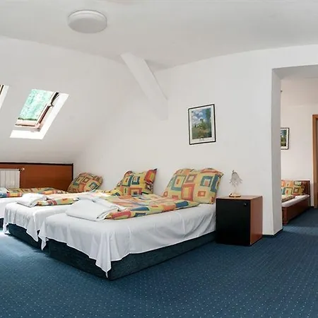 Hotel Fortuna-2