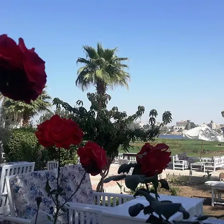 Nile View Hotel-3