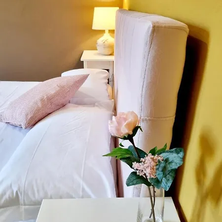 Rose Guest House-2