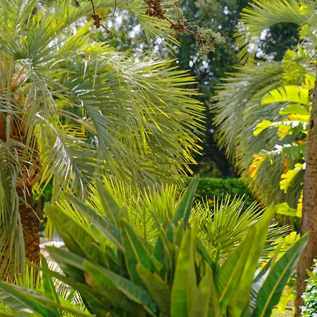 Radisson Hotel Cannes Seaside-3