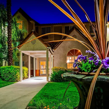 Best Western Plus Palm Court Hotel-3