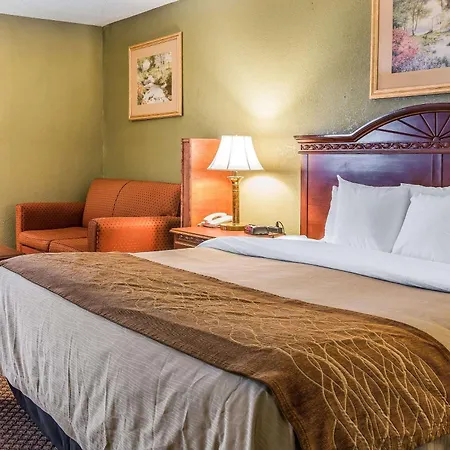 Quality Inn & Suites Ann Arbor Hwy 23-2