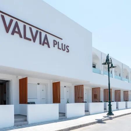 Bivalvia Beach Plus-3