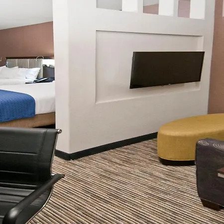 Holiday Inn Austin Airport By Ihg-3