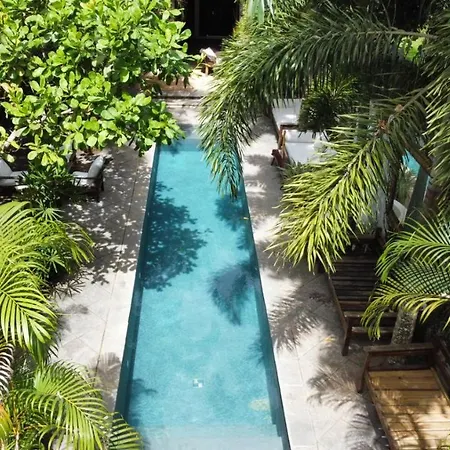 Monkey Casa Hotel-3