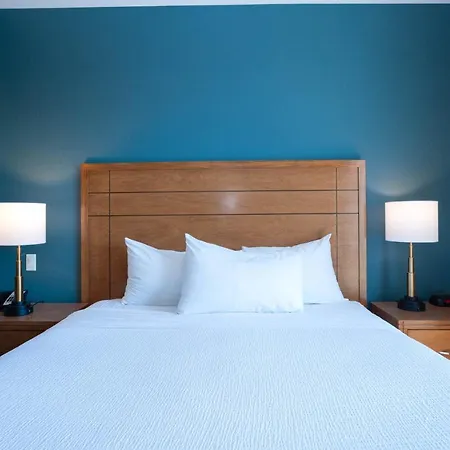 Sandman Hotel And Suites Squamish-3