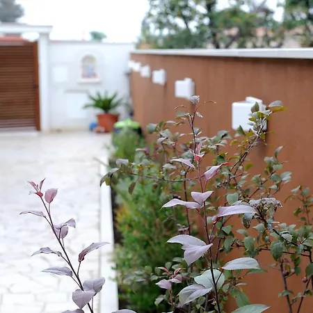 B&B Sun House-3