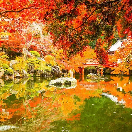 Eph Kyoto-2