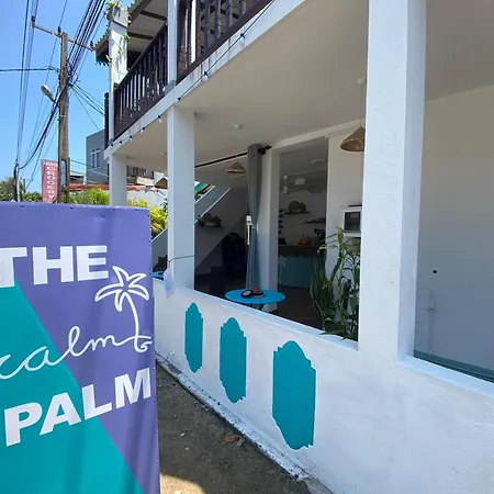The Calm Palm-2