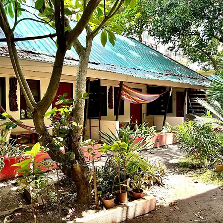 Lazy Dog Bed & Breakfast-2