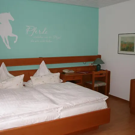 Landhotel Am Wenzelbach-2