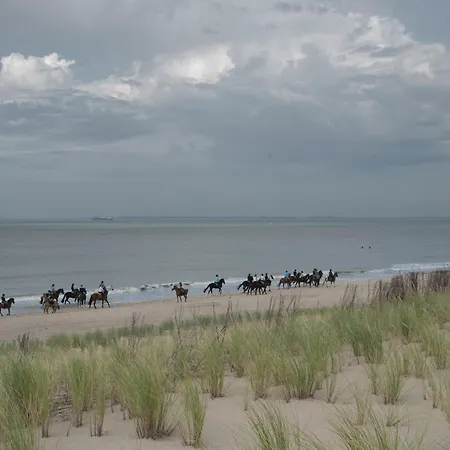 De Eenhoorn-2