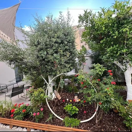 Patio 101 "Exclusive"-3