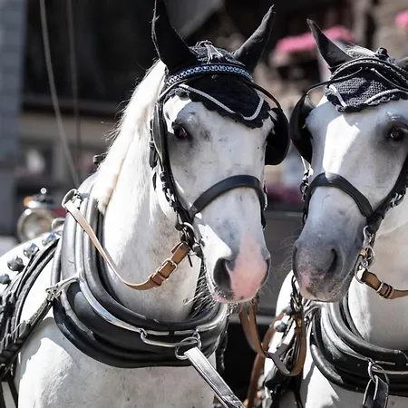Grand Hotel Zermatterhof-3