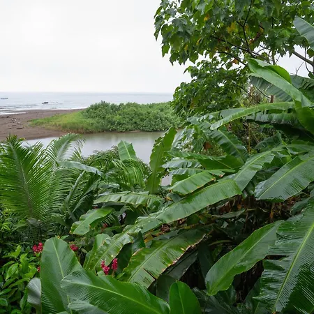 Pirate Cove-2