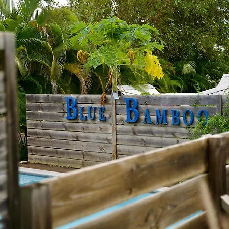 The Bluebamboo-3